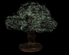 CCP Bluz Potted Tree