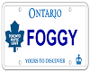 Foggy License