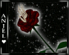 Ae Death Rose/Red