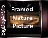 [BD]FramedNaturePicture