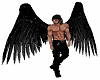 Black Angel Wings M/F