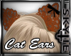 Lacey Cat Ears[orange