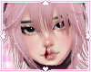 ❀. neko | sakura