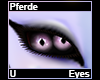 Pferde Eyes