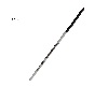 Sharpie Walking Staff
