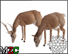 *MZC* Christmas Deer