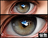 害羞. Perfect Eyes