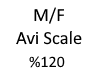M/F Avi Scaler %120