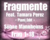 Fragmente,SöhneMannheim