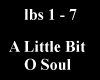 Little Bit O Soul