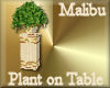 [my]Malibu Plant / Table