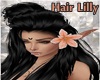 [BM] Hair Lilly