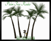 Tropical Palm Tree Radio