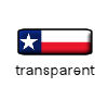 Texas flag mini button