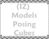 (IZ) Models Posing Cubes
