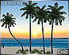 SUNSET PALM 