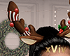 ~V~ Raindeer Horn