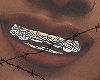 Icy Silver Grill