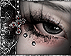 ✟﹔Cinerus