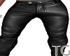 Steel Leather Pants
