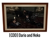 [CDD] Dario and Neko