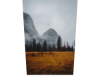 Cutout 226