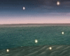fireflies