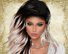 Bundle RLL