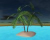 SMALL PALM TREE ISLAND
