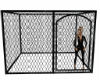 dog kennel cage