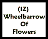 (IZ) Wheelbarrow Flowers
