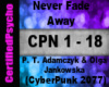  Punk2077-NeverFade