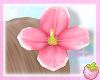 hair flower! ♡