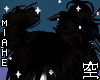 空 - Punk Black