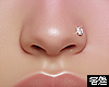 🅉 - Nose Diamond
