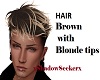 HAIR-Brown with Blonde M