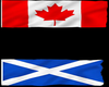 (MDiva)Canadian Scotish