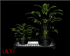 (AV) Elegant Plant Decor