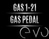 | GAS 1-21