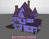 THE BIG PURPLE HOUSE