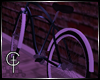 [CVT]SEA Studio Bicycle