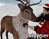 Raindeer