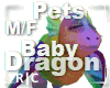 R|C Baby Dragon Rainbow