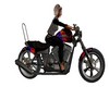 BIKE Harley Davidson