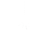 White spider