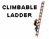 CLIMBABLE LADDER