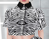 Kp* Zebra Crop