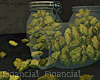 Dropped My Weed Jar