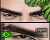 𝖛. Marcos Brows