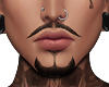 Beard Style l